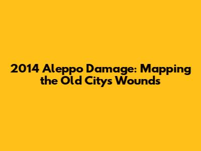 2014 Aleppo Damage: Mapping the Old City's Wounds