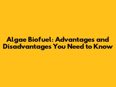Algae Biofuel: Advantages and Disadvantages You Need to Know
