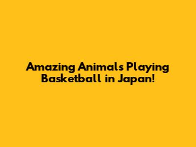 Amazing Animals Playing Basketball in Japan!