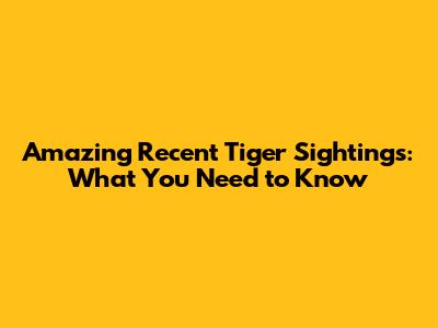 Amazing Recent Tiger Sightings: What You Need to Know