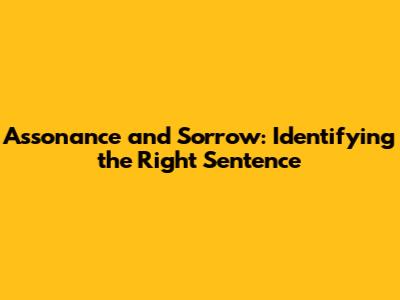 Assonance and Sorrow: Identifying the Right Sentence