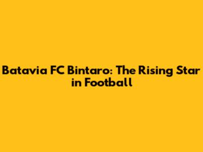 Batavia FC Bintaro: The Rising Star in Football