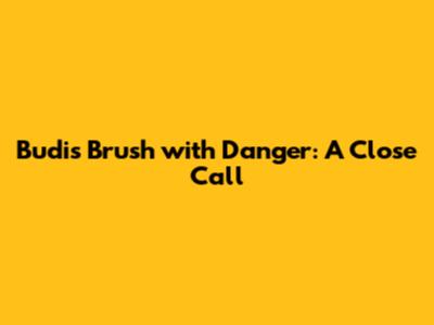 Budi's Brush with Danger: A Close Call