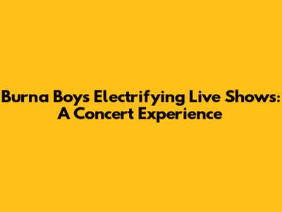 Burna Boy's Electrifying Live Shows: A Concert Experience