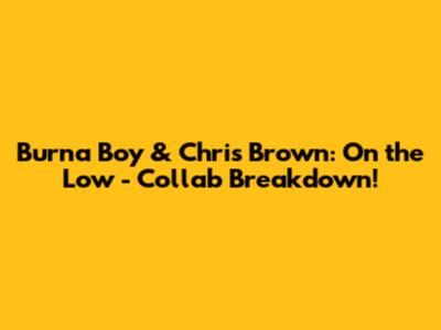 Burna Boy & Chris Brown: On the Low - Collab Breakdown!