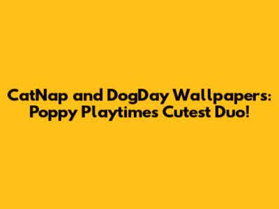 CatNap and DogDay Wallpapers: Poppy Playtime's Cutest Duo!