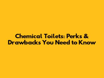 Chemical Toilets: Perks & Drawbacks You Need to Know