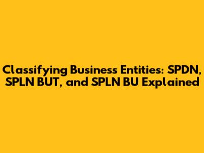 Classifying Business Entities: SPDN, SPLN BUT, and SPLN BU Explained