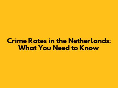 Crime Rates in the Netherlands: What You Need to Know