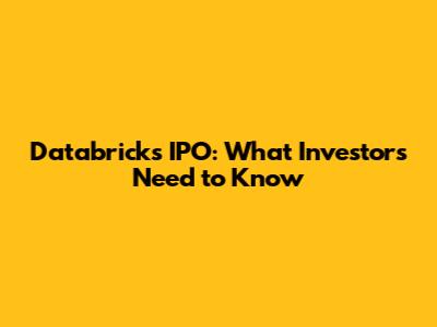 Databricks IPO: What Investors Need to Know