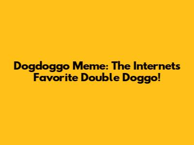 Dogdoggo Meme: The Internet's Favorite Double Doggo!