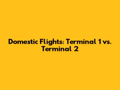 Domestic Flights: Terminal 1 vs. Terminal 2