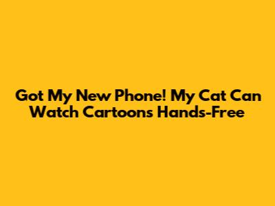 Got My New Phone! My Cat Can Watch Cartoons Hands-Free