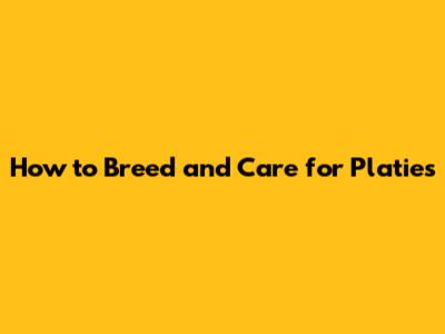 How to Breed and Care for Platies