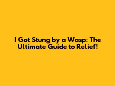I Got Stung by a Wasp: The Ultimate Guide to Relief!