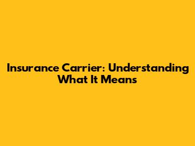 Insurance Carrier: Understanding What It Means
