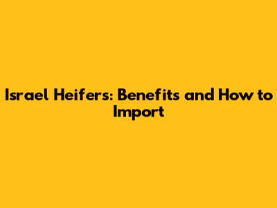 Israel Heifers: Benefits and How to Import