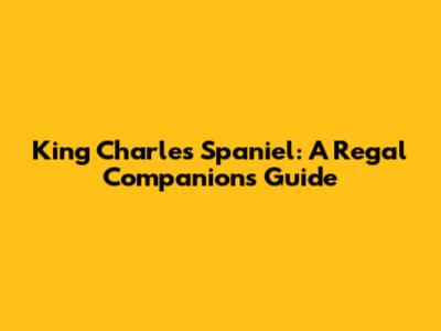 King Charles Spaniel: A Regal Companion's Guide