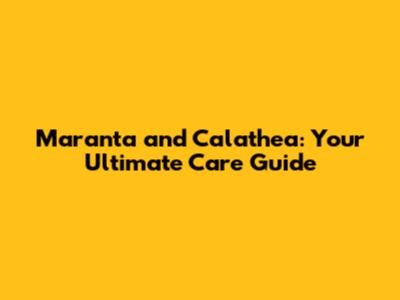 Maranta and Calathea: Your Ultimate Care Guide