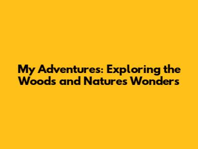 My Adventures: Exploring the Woods and Nature's Wonders