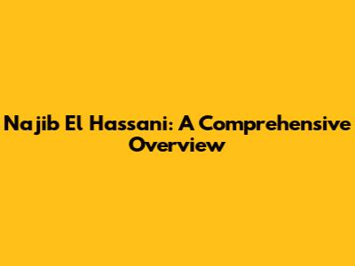Najib El Hassani: A Comprehensive Overview