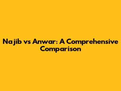 Najib vs Anwar: A Comprehensive Comparison