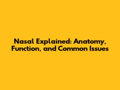 Nasal Explained: Anatomy, Function, and Common Issues