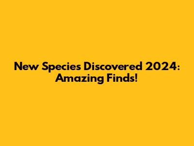 New Species Discovered 2024: Amazing Finds!