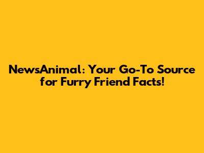 NewsAnimal: Your Go-To Source for Furry Friend Facts!
