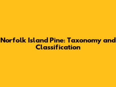 Norfolk Island Pine: Taxonomy and Classification