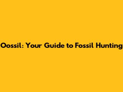 Oossil: Your Guide to Fossil Hunting