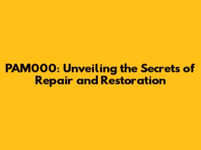 PAM000: Unveiling the Secrets of Repair and Restoration