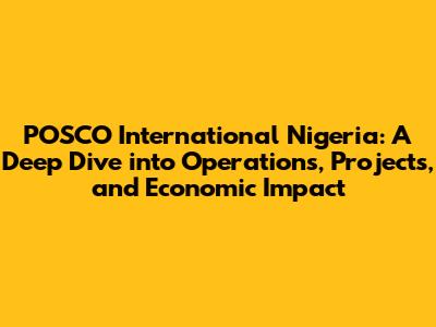POSCO International Nigeria: A Deep Dive into Operations, Projects, and Economic Impact