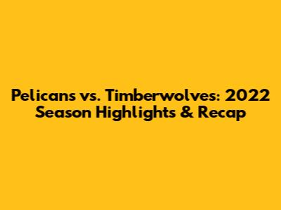 Pelicans vs. Timberwolves: 2022 Season Highlights & Recap