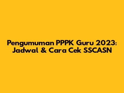 Pengumuman PPPK Guru 2023: Jadwal & Cara Cek SSCASN