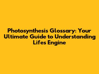 Photosynthesis Glossary: Your Ultimate Guide to Understanding Life's Engine