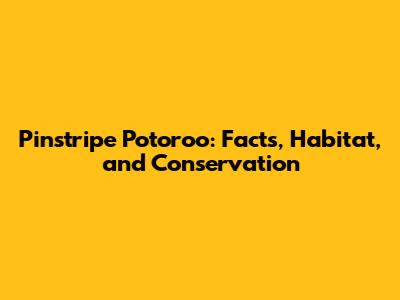 Pinstripe Potoroo: Facts, Habitat, and Conservation