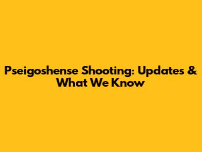 Pseigoshense Shooting: Updates & What We Know