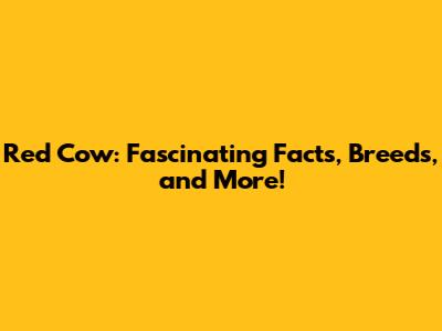 Red Cow: Fascinating Facts, Breeds, and More!