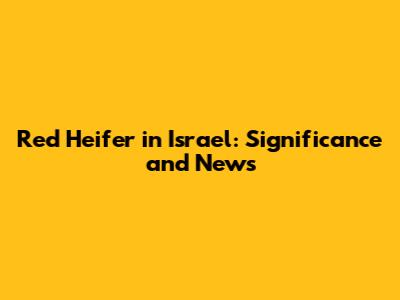 Red Heifer in Israel: Significance and News