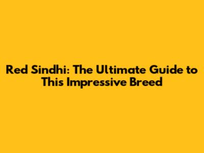 Red Sindhi: The Ultimate Guide to This Impressive Breed