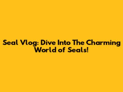 Seal Vlog: Dive Into The Charming World of Seals!