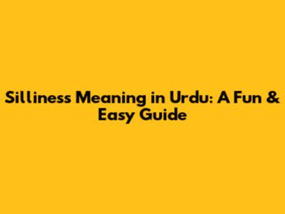 Silliness Meaning in Urdu: A Fun & Easy Guide