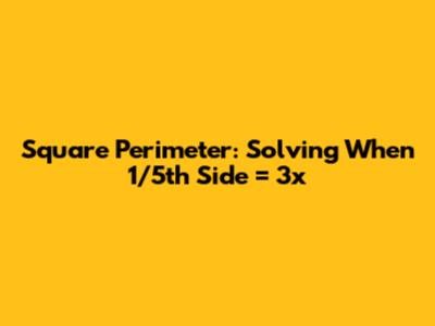 Square Perimeter: Solving When 1/5th Side = 3x