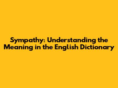 Sympathy: Understanding the Meaning in the English Dictionary