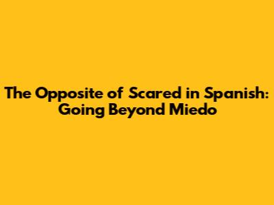 The Opposite of Scared in Spanish: Going Beyond 'Miedo'