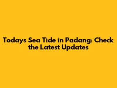 Today's Sea Tide in Padang: Check the Latest Updates