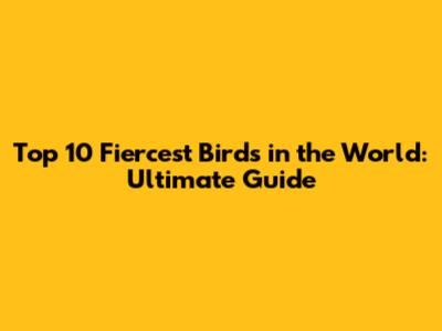 Top 10 Fiercest Birds in the World: Ultimate Guide