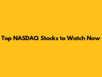 Top NASDAQ Stocks to Watch Now
