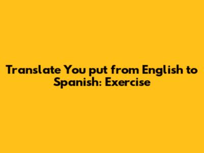 Translate 'You put' from English to Spanish: Exercise